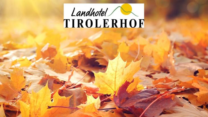 Herbstliche Stimmung im Hochtal