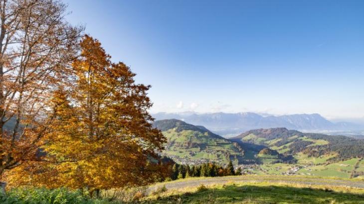 Herbststimmung