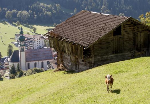 Der Tirolerhof in der Wildschönau