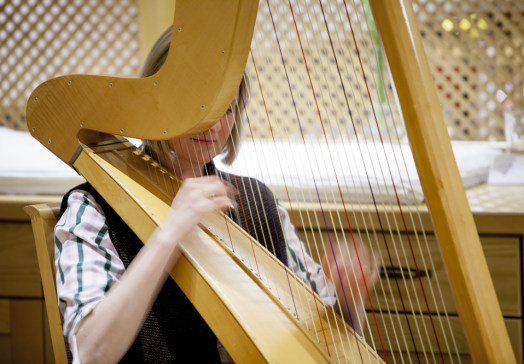 Harp music at the farmer's buffet