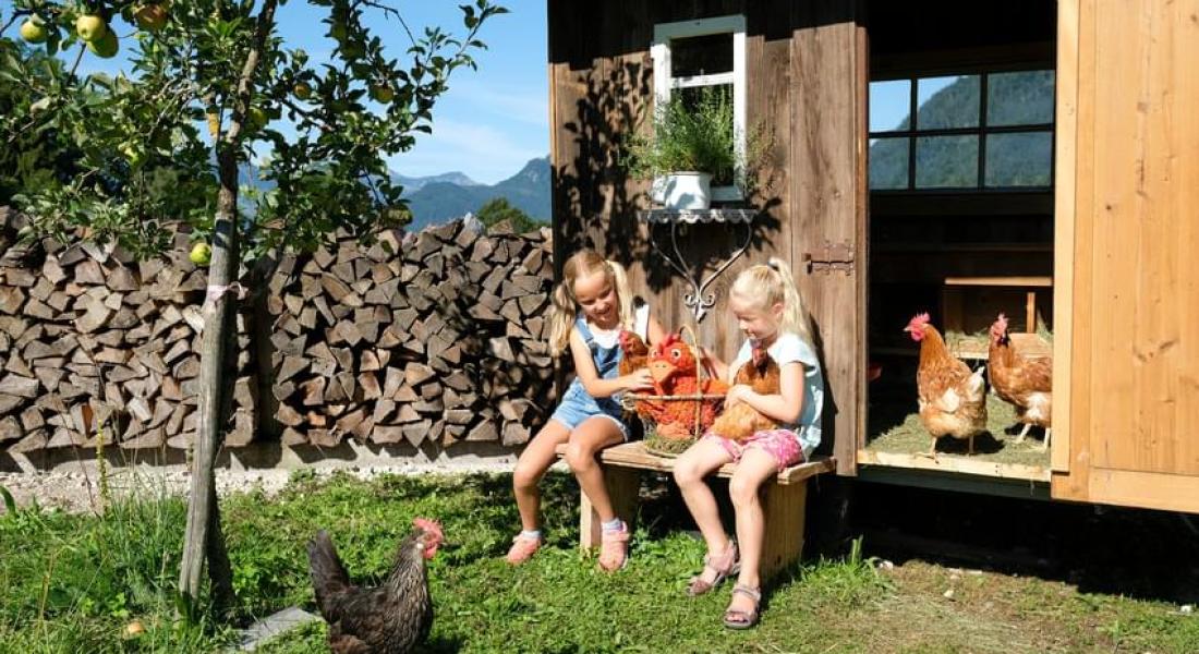 Kinder beim Füttern von Hühnern auf einem Bauernhof in der Wildschönau in Tirol mit ländlicher Umgebung nahe Landhotel Tirolerhof Oberau