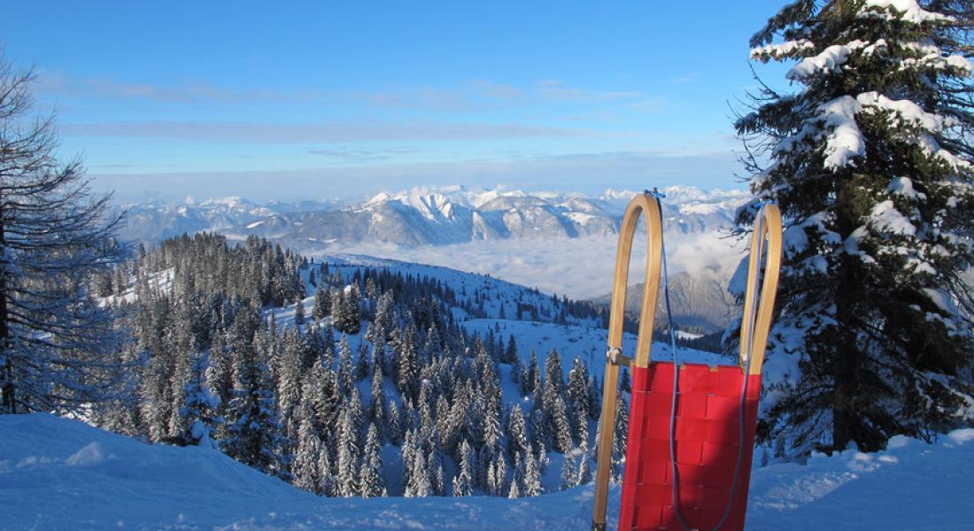 Sledding at Markbachjoch in Wildschönau with views of snow-covered mountains and winter landscape in Tyrol near Landhotel Tirolerhof Oberau